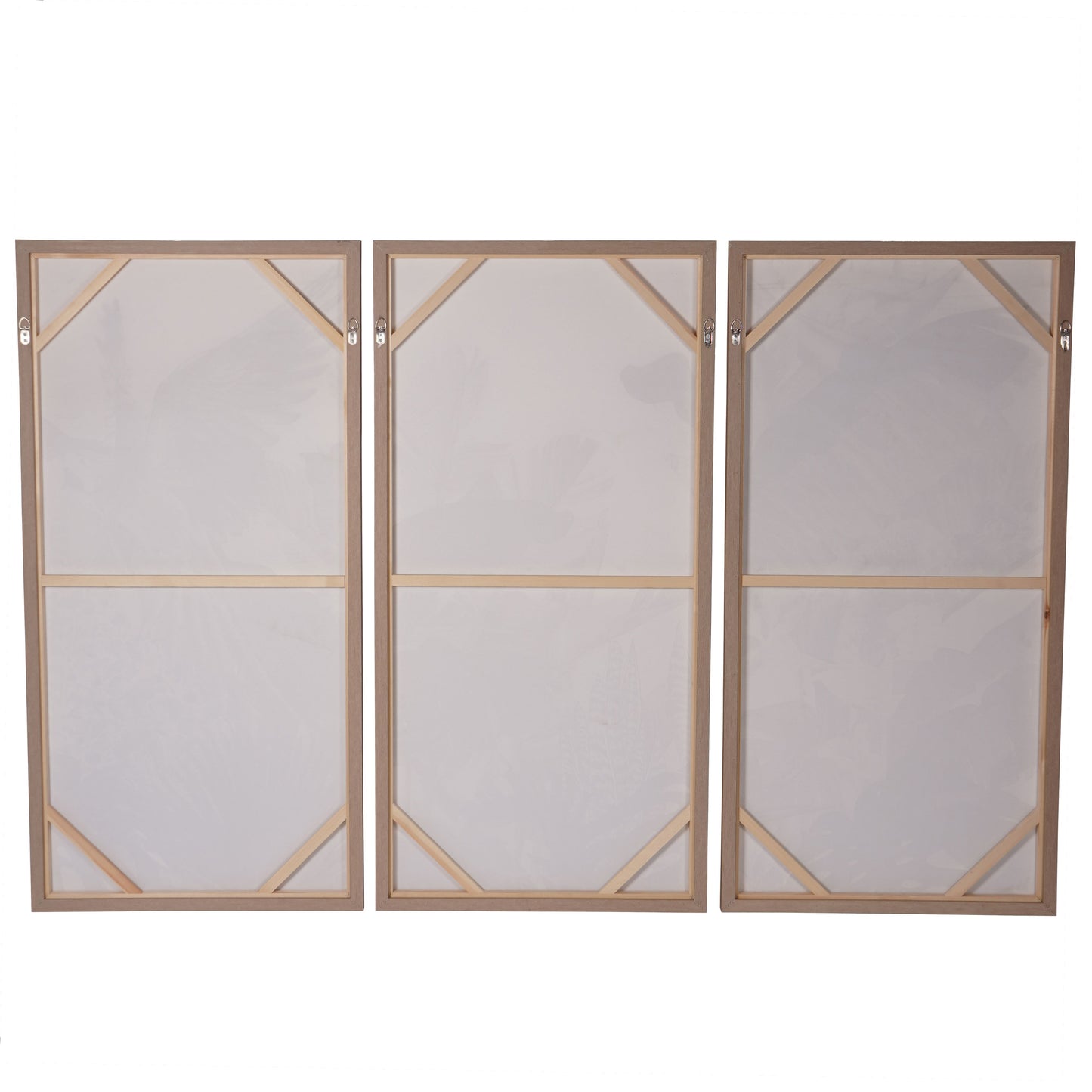 Framed Tropical Birds 3 Piece Canvas