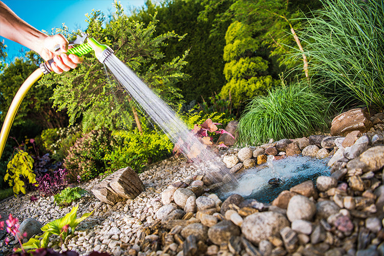 The Sustainable Gardener’s Handbook: Earth-Friendly Tips to Transform Your Garden!