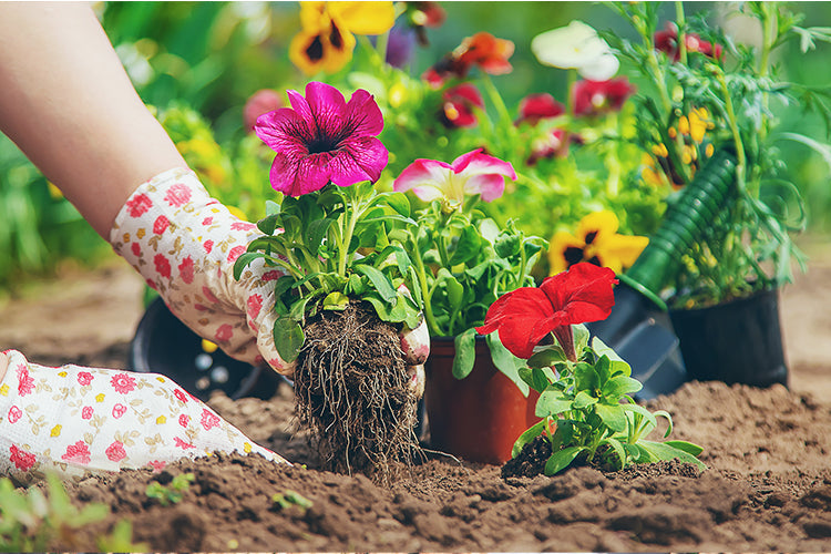 Discover the Hidden Tricks to a Flourishing Garden with These Unexpected Tips!