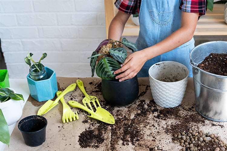 Unearth the Secrets: 7 Surprising Gardening Tips You Need to Try Now!