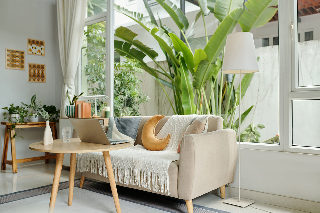 The Green Revolution: Spruce Up Your Space with These Cool Indoor Plants