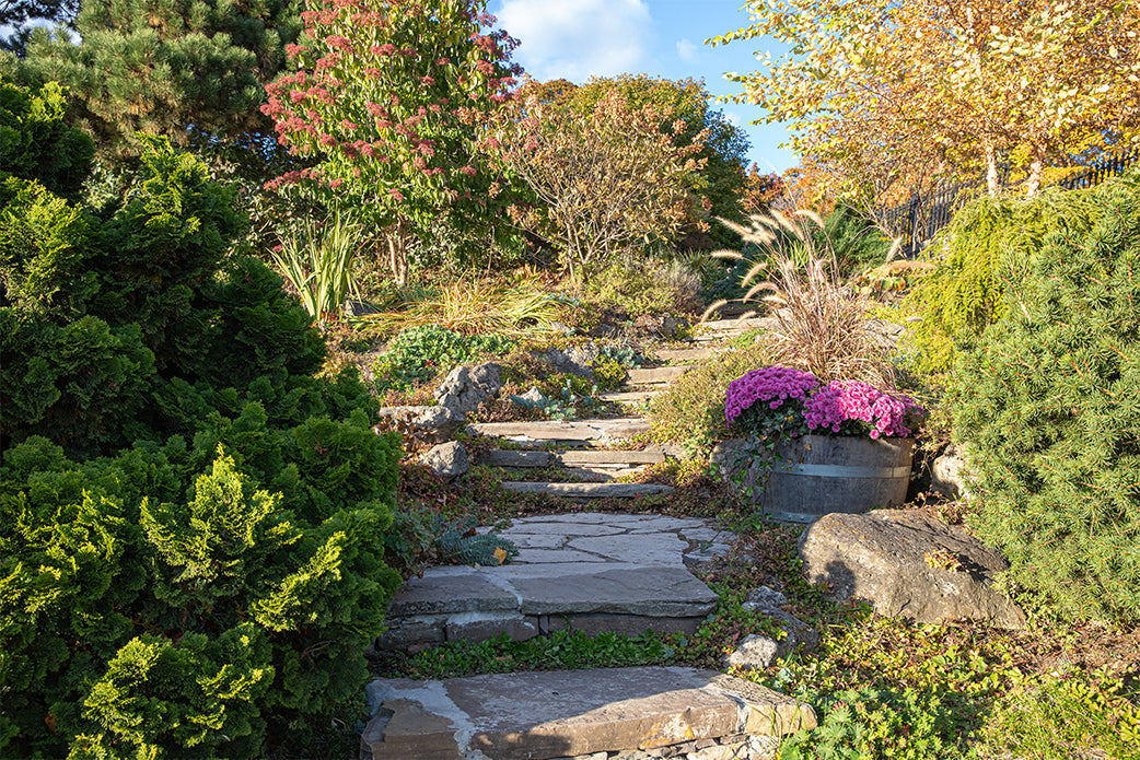 Improving Your Garden Pathways for Functionality and Aesthetics