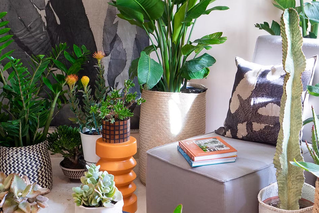 Designing With Texture for a Luxurious Feel