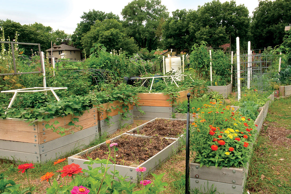 The Benefits of No-Dig Gardening