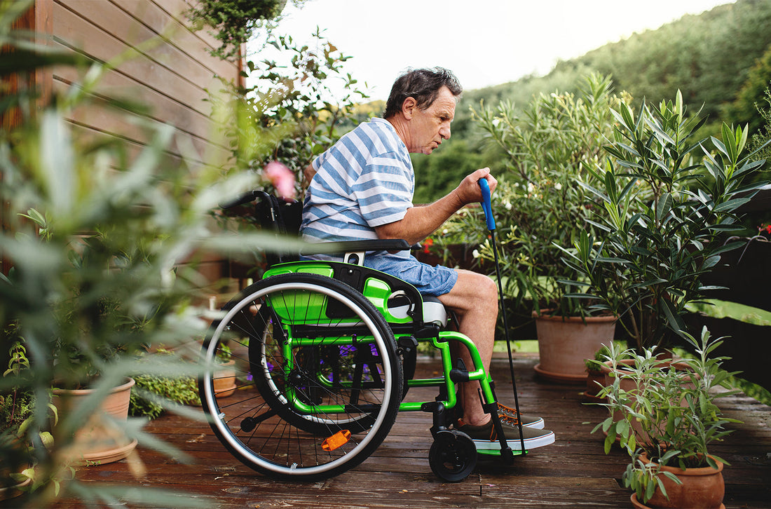 Designing an Accessible Garden for All Abilities