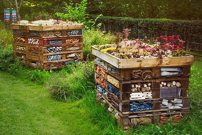 How to Build a Bug Hotel to Support Beneficial Insects