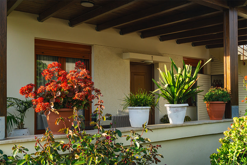 Creative Container Gardening Tips for Every Season