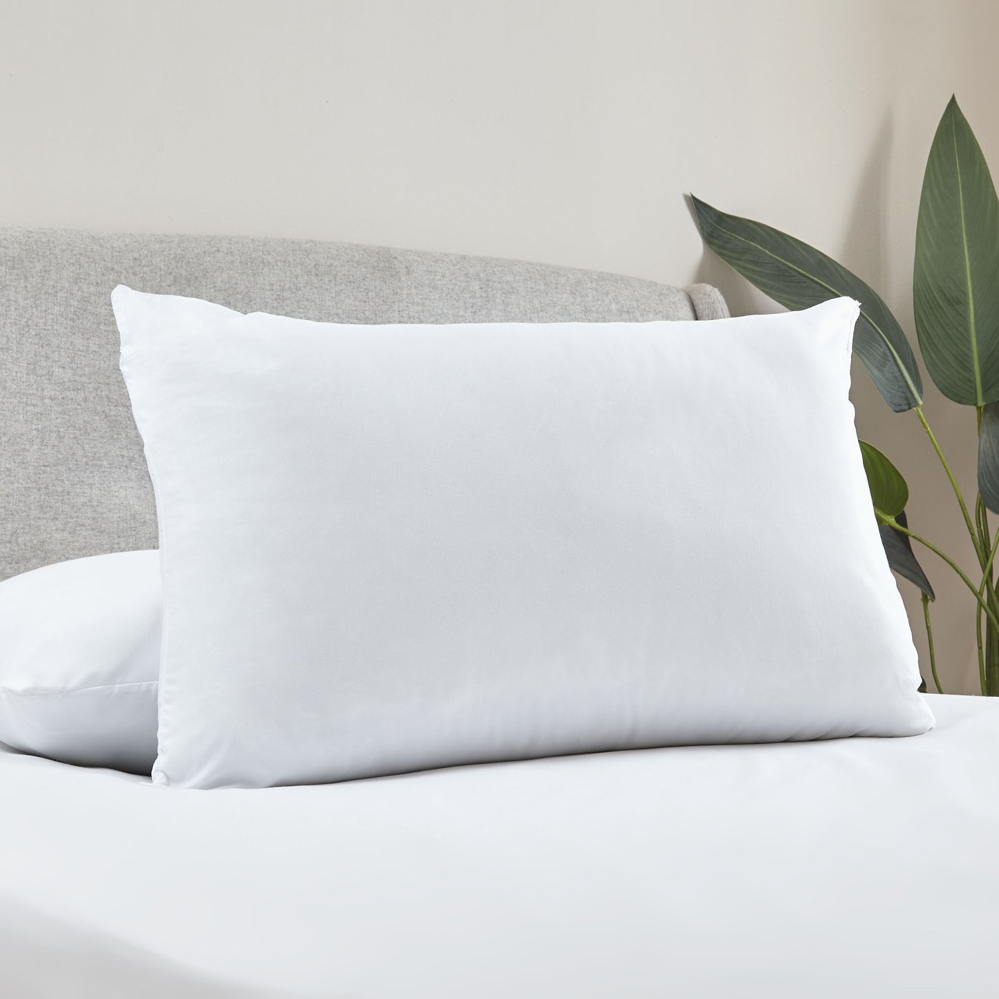 Catherine Lansfield Touch Of Down Hollowfibre Fill Pillow Pairs