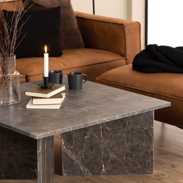 Vega Coffee Table with Marron Marble Top