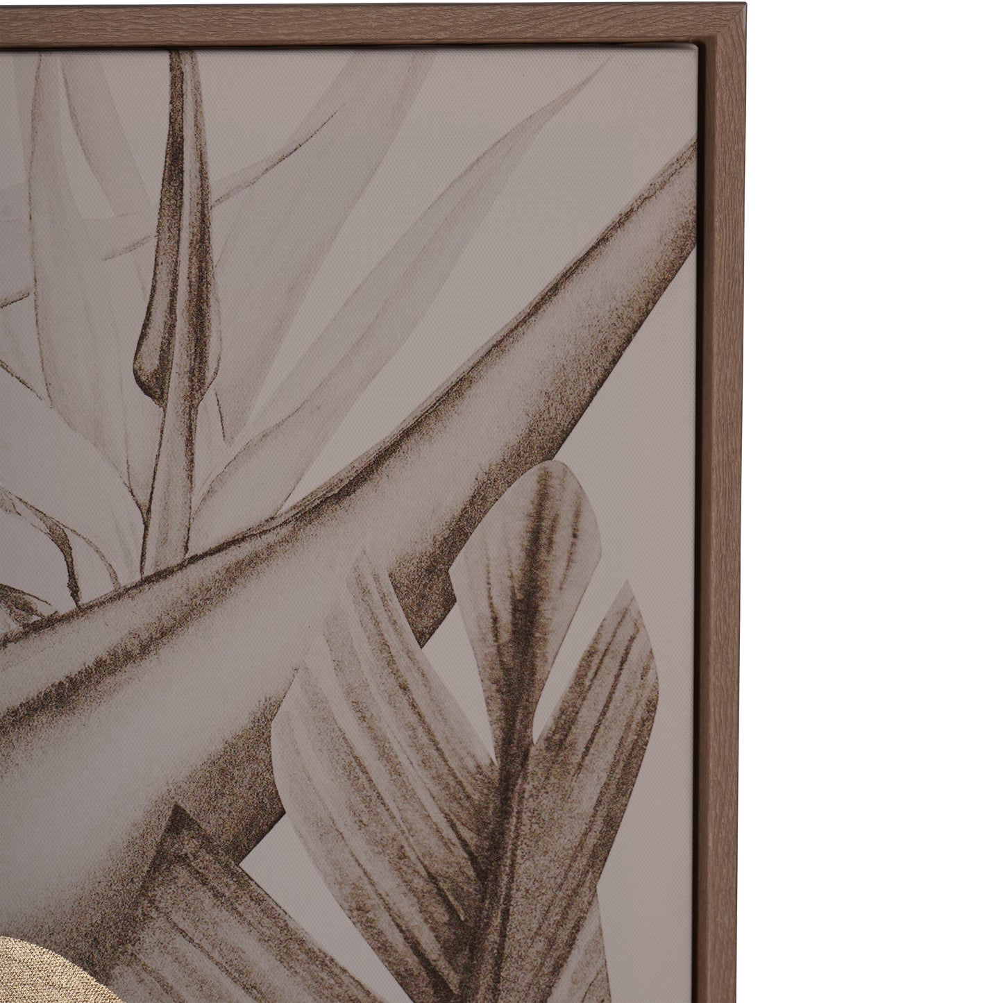 Framed Tropical Birds 3 Piece Canvas