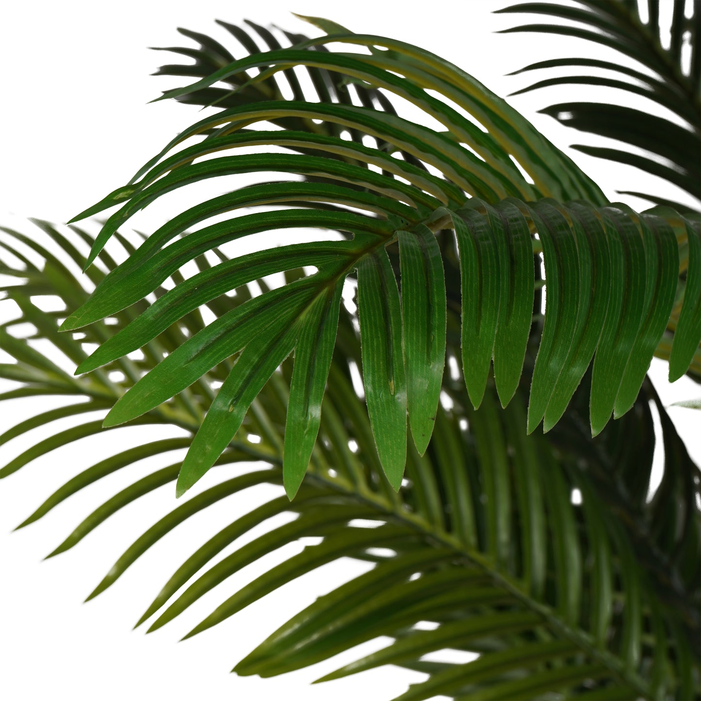 Faux Areca Palm