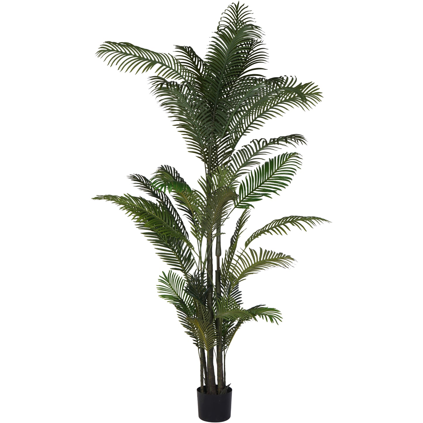 Faux Areca Palm