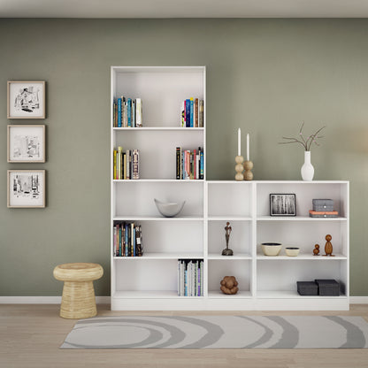 Basic Low Narrow Bookcase (2 Shelves)