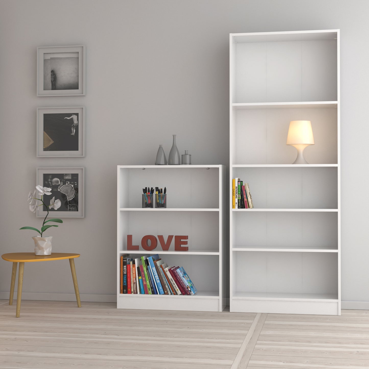 Basic Low Wide Bookcase (2 Shelves)