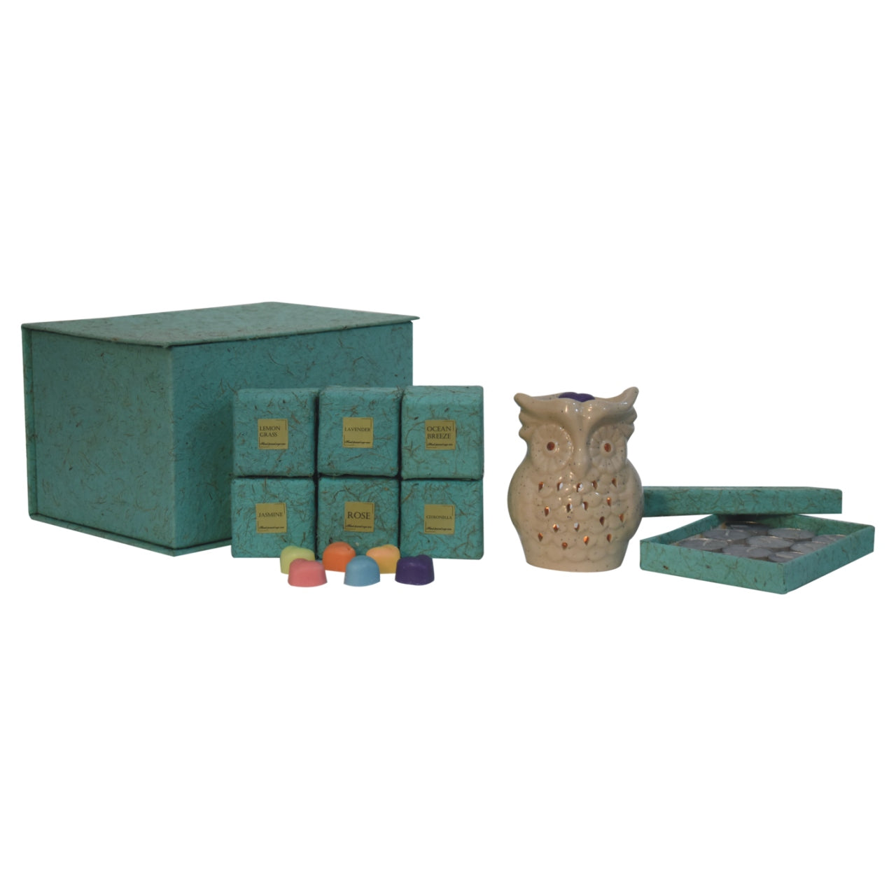 Owl Wax Melter Set (Summer)