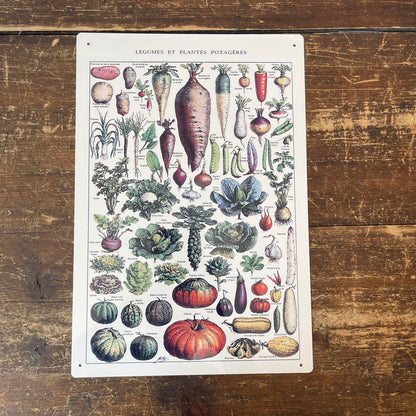 Vintage Metal Sign - Vintage Botanical Kitchen Vegetables Sign