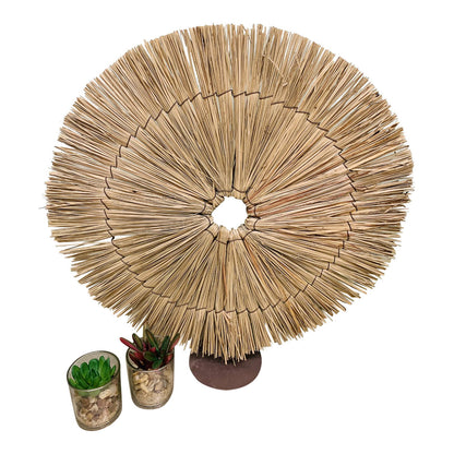 Dried Sun Grass On Stand Decoration 54cm