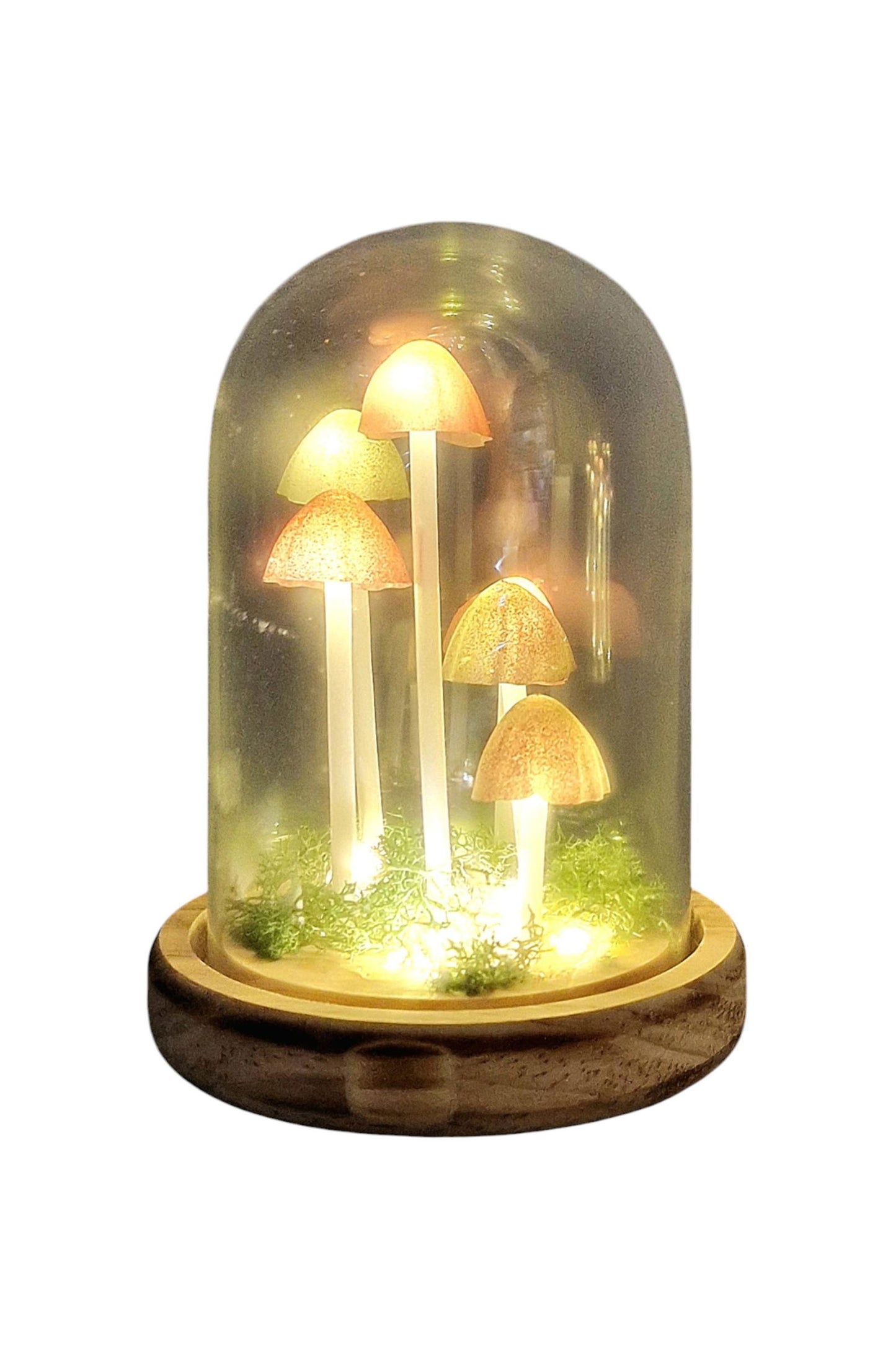 Mushroom Glass Globe with L.E.D Lighting