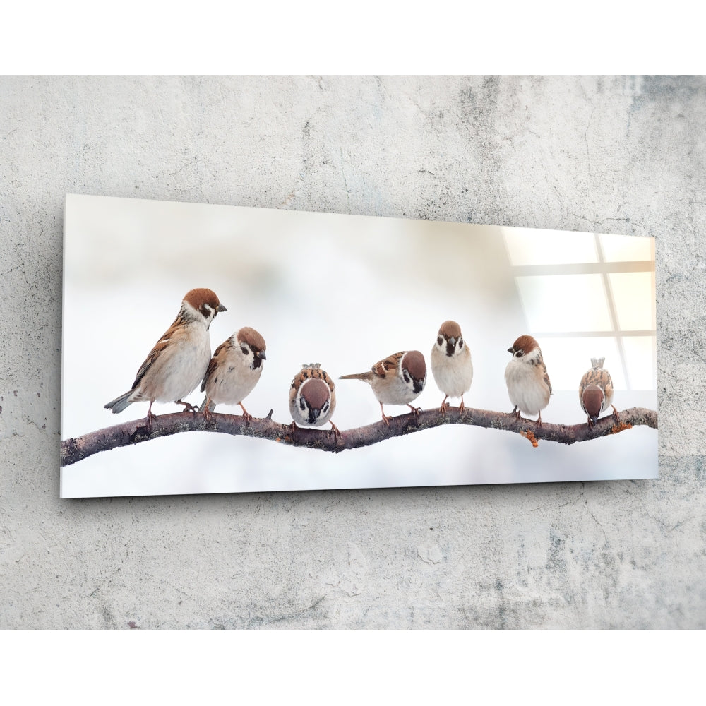 Birds Glass Wall Art (92x36 cm)