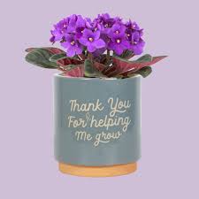 Blue Thank You For Helping Me Grow Plant Pot