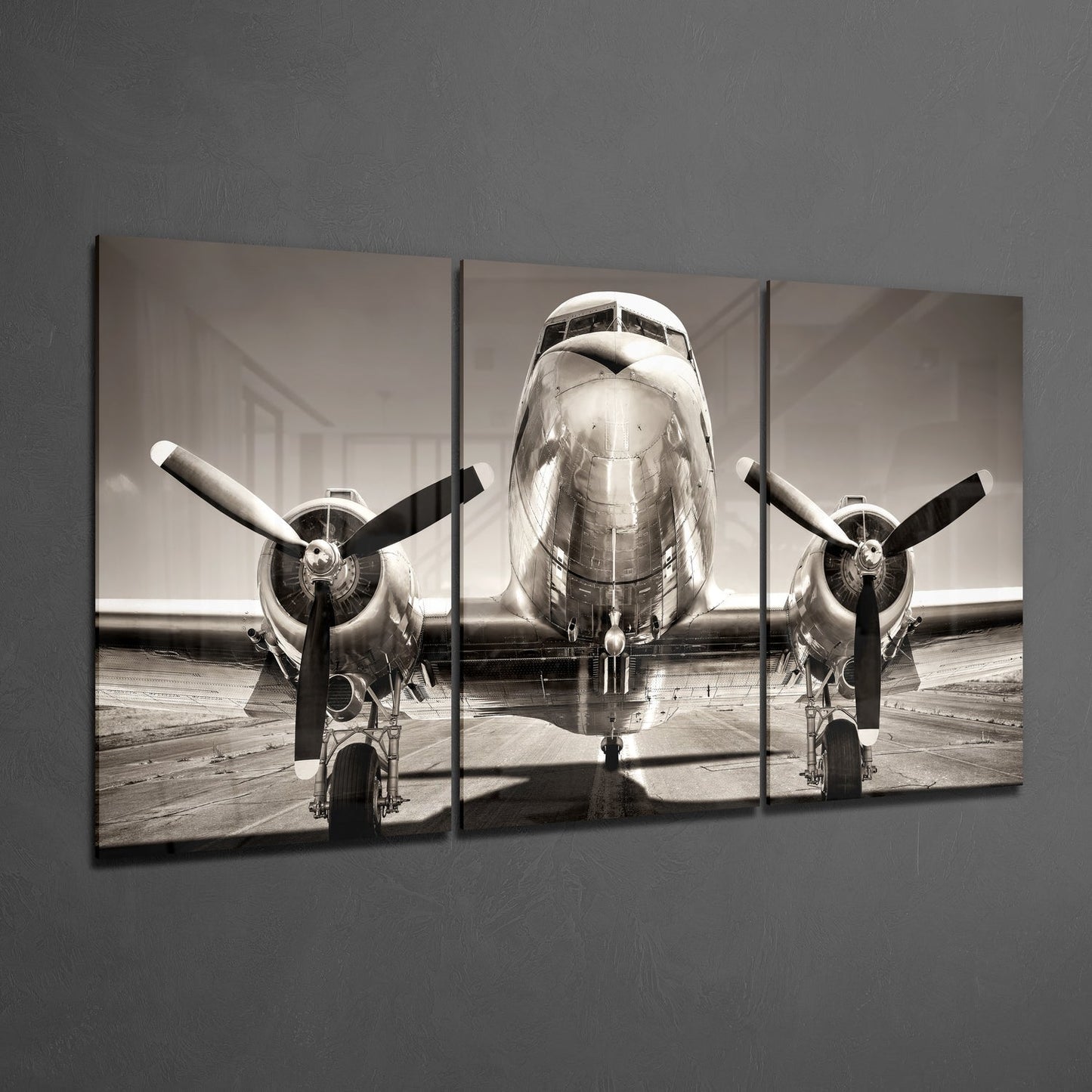 Plane Mega Glass Wall Art
