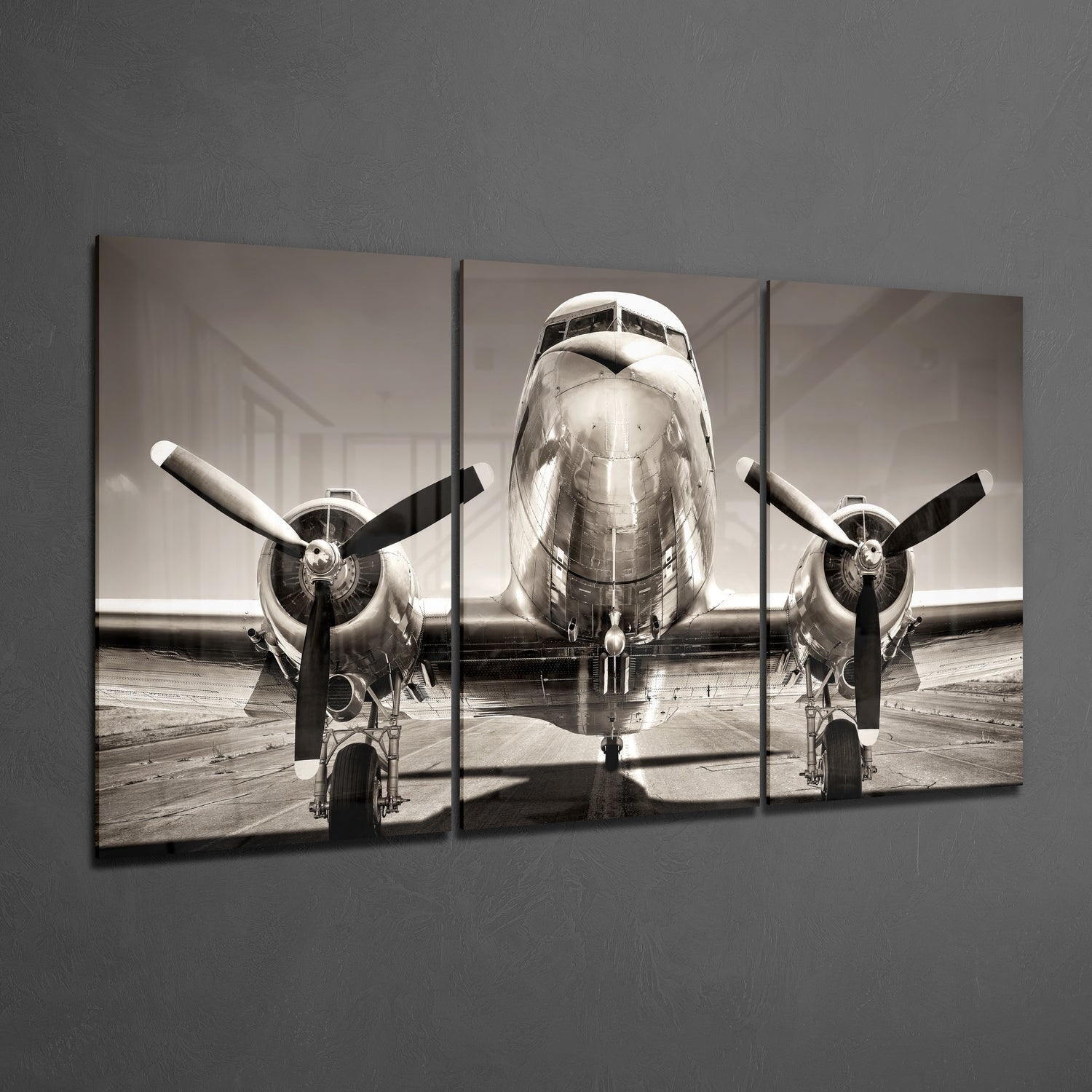 Plane Mega Glass Wall Art