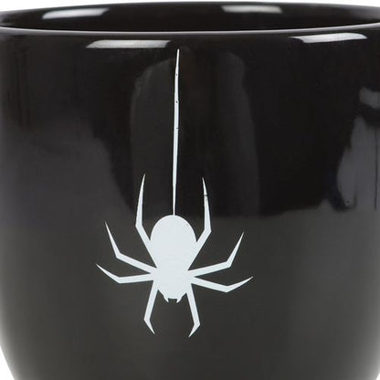 Black Spider Teacup