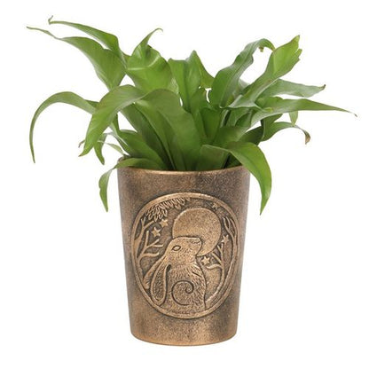 Moon Gazing Hare  Bronze Terracotta Plant Pot by Lisa Parker